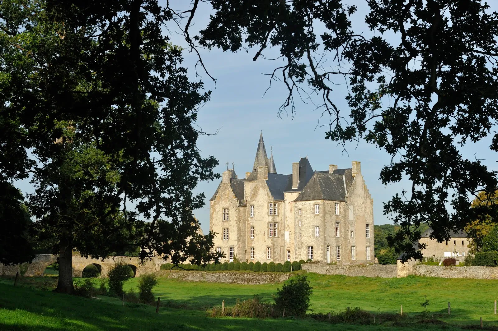 Couleuvre à collier au château