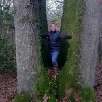 Cépée de 4 chênes au château de Bourgon