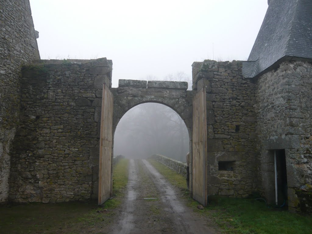 The Bridge 4