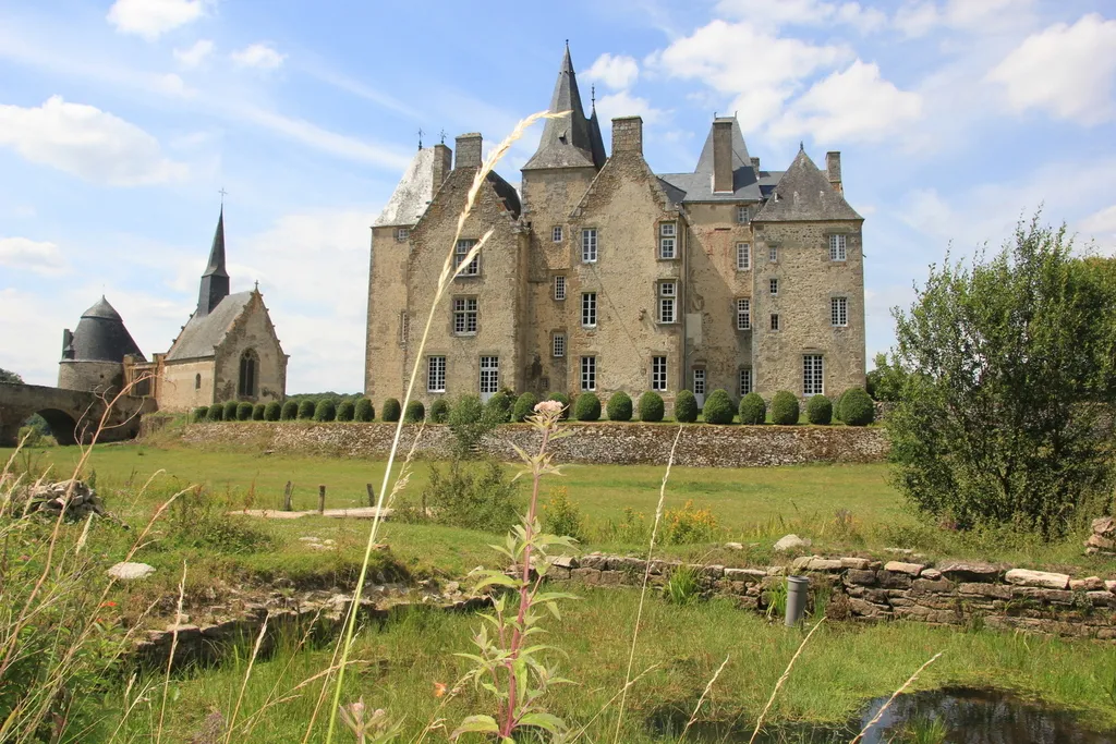 JEP 2015 :19 et 20/9 , expo P.Nigault et découverte des plantes sauvages