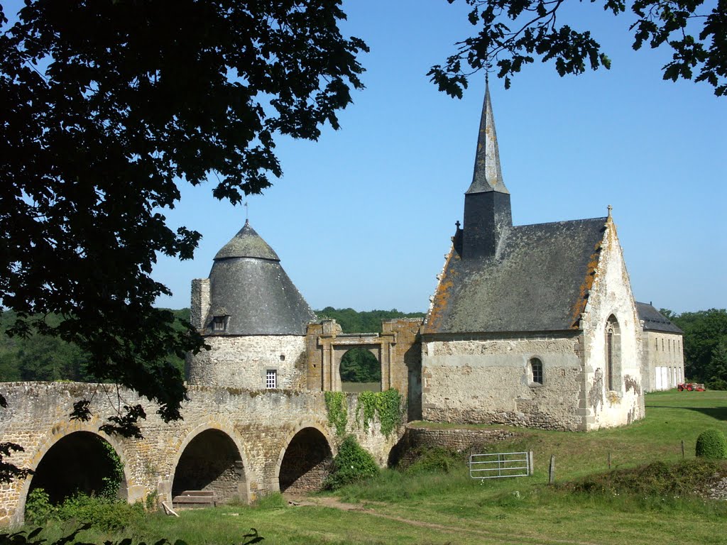 The Bridge 5
